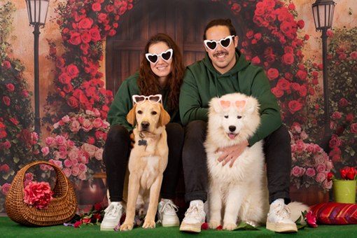 la famille nos compagnons font parti de la famille au sens large du terme